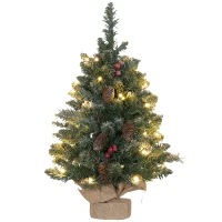 HOMCOM Weihnachtsbaum mit LED-Beleuchtung, 60 cm, Tannenzapfen und rote Beeren, inkl. Ständer, Grün/Weiß(m-1)