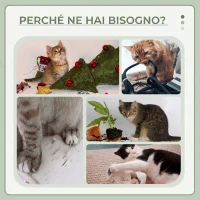PawHut Tiragraffi per gatti 70 cm con amaca, piattaforma e pali in sisal, grigio chiaro(m-6)