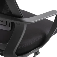 Vinsetto Ergonomic Office Chair, High Back Computer Chair, Mesh Desk Chair with Lumbar Support, Headrest, Wheel, Adjustable Height, Black(m-12)