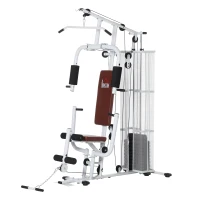 HOMCOM Kraftstation Fitnessstation Fitnessgerät Multifunktion Krafttraining Multistation Trainingsstation mit Latzug Butterflystange 45kg Gewichten Seil, Fitnessgeräte für Zuhause Weiß(m-11)