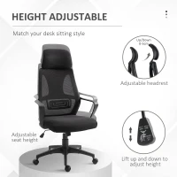 Vinsetto Ergonomic Office Chair, High Back Computer Chair, Mesh Desk Chair with Lumbar Support, Headrest, Wheel, Adjustable Height, Black(m-4)