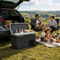 Outsunny 40L Compressor Car Fridge Freezer, Dual Zone Camping Refrigerator with App Control, Telescopic Handle, -20℃-20℃(m-2)