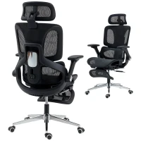 HOMCOM Ergonomic Office Chair, High Back Mesh Desk Chair, Black(m-11)