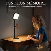 HOMCOM Lampe de bureau LED dimmable 5 modes de couleur 10 niveaux de luminosité port USB minuterie support pour téléphone noir(m-6)