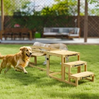 PawHut Équipements d'entraînement agilité pour chien kit d'équipement d'agilité pour chien 3 pièces en bois massif bois naturel(m-10)