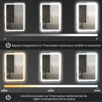 HOMCOM Miroir de salle de bain rectangulaire LED fonction anti-buée luminosité réglable fonction mémoire 70 x 90 cm argent(m-6)