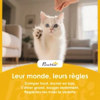 PawHut Maison de Toilette pour Chat avec Couvercle, Entrées, Plateau Coulissant, Pelle, Sachets Désodorisants, 48x35x36cm, Gris(m-9)