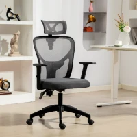 Vinsetto Scaun de birou ergonomic și reglabil cu suport lombar și tetieră, 66x61x106-116 cm, gri(m-10)