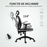 Vinsetto Scaun de birou ergonomic și reglabil cu suport lombar și tetieră, 66x61x106-116 cm, gri(m-6)