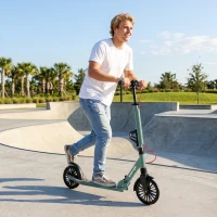 SPORTNOW Foldable Kick Scooter with Height Adjustable Handlebar, One-click Folding Adult Scooters with 200 mm Big Wheels, Silver Tone(m-9)