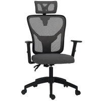 Vinsetto Scaun de birou ergonomic și reglabil cu suport lombar și tetieră, 66x61x106-116 cm, gri(m-12)