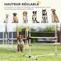 PawHut Agility pour Chiens, Kit Agility Chien Parcours, Set de 4 Obstacles Professionnels Hauteur Réglable, Système de Maintien au Sol, Sac de Transport, Jeux Intéressants, Entraînement, Blanc(m-4)