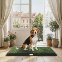 PawHut Hundetoilette 76 x 50,5 cm Hundeklo mit 2 Kunstrasen waschbar Welpentoilette für Hunde für Balkon Zuhause Schwarz+Grün(m-2)