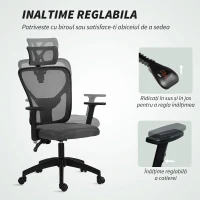 Vinsetto Scaun de birou ergonomic și reglabil cu suport lombar și tetieră, 66x61x106-116 cm, gri(m-4)