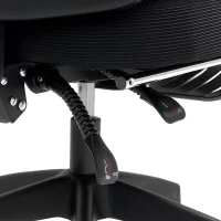 HOMCOM Ergonomic Office Chair, Mesh High Back Desk Chair with Adjustable Lumbar Support and Headrest, Footrest, Reclining Executive Swivel Computer Chair for Home Study, Black(m-9)
