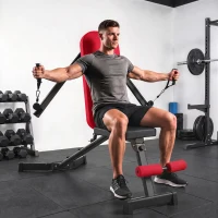 SPORTNOW Banco de Pesas Plegable con Bandas de Resistencia Respaldo Ajustable Plano/Inclinación/Declive Extensión de Piernas(m-2)