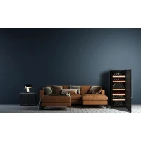 Cave a vin de vieillissement - LA SOMMELIERE - CTP177A - 165 bouteilles - Porte pleine - Classe F - 59,5 x 67,5 x 135,5 cm - Noir(m-3)
