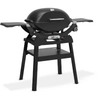 Barbecue a gaz - Weber - Q2200N avec stand - 4,11kW - 1 brûleur - Fonte émaillée - Allumage piézoélectronique - Noir(m-3)