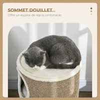 PawHut Tonneau à Gratter pour Chat, Tour à Griffer en Sisal à 3 Niveaux Recouvert de Peluche, Ø 38 x 70 cm, Marron(m-5)