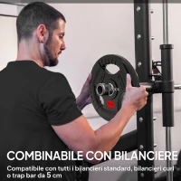 SPORTNOW Set di Dischi Pesi 2x10 kg con Foro da 5 cm e 3 Impugnature, Acciaio con Rivestimento in Plastica, Nero(m-5)