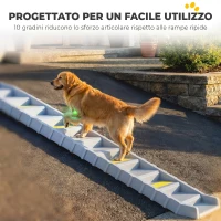 PawHut Rampa Pieghevole per Cani per Auto e Letti Alti a 10 Gradini con Strisce e Tappetini Antiscivolo, Grigio(m-3)