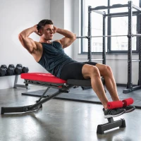 SPORTNOW Banco de Pesas Plegable con Bandas de Resistencia Respaldo Ajustable Plano/Inclinación/Declive Extensión de Piernas(m-8)