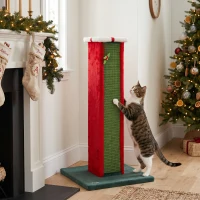 PawHut Cat Scratching Post for Indoor Cats, 81cm Tall Cat Scratcher with Sisal Rope, Hanging Bell Toy, Stable Base, Green & Red(m-8)