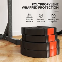 SPORTNOW Zestaw 4 ciężarków do hantli, 2 x 5 kg/10 kg, zestaw obciążników do sztangi 2,5 cm, średnica otworu 30 mm, kolor czarny(m-6)