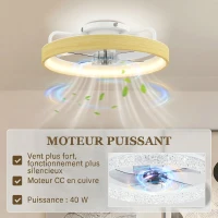 HOMCOM Ventilateur plafond avec lumière LED plafonnier ventilateur Ø49cm 7 pales 6 vitesses luminosité réglable mode été-hiver(m-6)