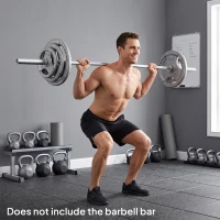 HOMCOM Juego de 6 Discos de Pesas de Acero Total de 35 kg 2x10 kg 2x5 kg 2x2,5 kg Discos Olímpicos con Orificio Central de Ø54 mm para Entrenamiento en Casa Gimnasio Plata(m-10)