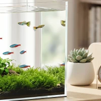 PawHut Acuario de Pecera 51 L Pecera de Cristal con Alfombrilla Protectora para Peces Camarones y Tortugas Transparente(m-11)