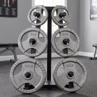 HOMCOM Juego de 6 Discos de Pesas de Acero Total de 35 kg 2x10 kg 2x5 kg 2x2,5 kg Discos Olímpicos con Orificio Central de Ø54 mm para Entrenamiento en Casa Gimnasio Plata(m-7)