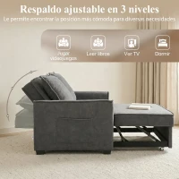 HOMCOM Sofá Cama 2 Plazas 3 en 1 con Respaldo Ajustable Bolsillos Laterales 2 Almohadas para Sala de Estar Gris Oscuro(m-5)