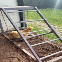 PawHut Wooden Chicken Coop Toy with Swing, Ladder, Platform, Grey(m-12)