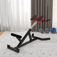 SPORTNOW Cadeira Romana para Hiperextensões com Altura e Encosto Reguláveis, 120 kg, para Treino de Abdominais e Costas(m-10)
