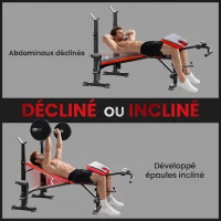 HOMCOM Banc de musculation Fitness entrainement complet avec support d'haltères dossier réglable acier 175 x 139 x 127 cm noir(m-6)