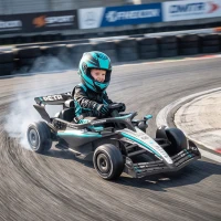 AIYAPLAY Go-Kart Elétrico Mercedes-AMG PETRONAS F1 com Licença Controle Remoto Suspensões Traseiras Partida Suave(m-10)