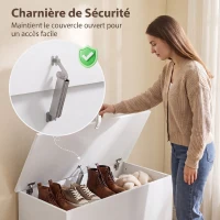 HOMCOM Coffre de Rangement, Banc de Rangement avec Couvercle Rabattable et Charnières de Sécurité, 80 x 40 x 45 cm, Blanc(m-5)