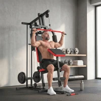 SPORTNOW Station de Musculation Multifonction à Disques Libres, avec Banc Amovible, 136x107x205cm, Noir et Rouge(m-16)