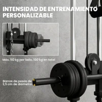 SPORTNOW Máquina Polea Alta y Baja de Pared de Doble Polea Ajustable en 15 Posiciones Multifunción Lat Pulldown para Gimnasio(m-6)