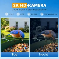 PawHut Mangeoire à Oiseaux avec Caméra 2K Solaire 2,5L 142°, Identification IA 16000+, App, IP65, SD 32 Go, 30x34,5x26,3cm Vert(m-5)