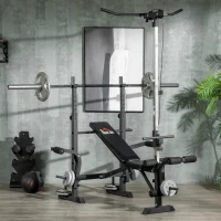 HOMCOM Banco de Pesas Multifuncional Ajustable para Entrenamiento de Cuerpo Entero 180x134x200 cm Plata y Negro(m-10)
