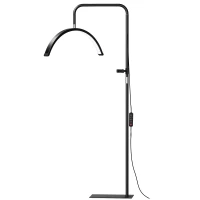 HOMCOM Candeeiro de Pé Meia Lua  com Cabeça Giratória 350° 7 Temperaturas de Cor Brilho Ajustável Suporte para Telemóvel Preto(m-11)
