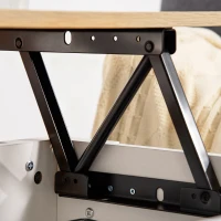 HOMCOM Mesa de Centro Elevable con Encimera Elevable con Espacio Oculto de Almacenaje 100x50x45-58,5 cm Blanco y Natural(m-9)