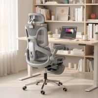 HOMCOM Ergonomische mesh bureaustoel met gesplitste rugleuning, lendensteun en 4D opklapbare armleuningen, grijs(m-2)