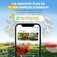 PawHut Mangeoire à Oiseaux avec Caméra 2K Solaire 2,5L 142°, Identification IA 16000+, App, IP65, SD 32 Go, 30x34,5x26,3cm Vert(m-4)