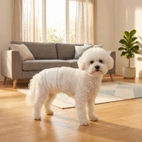 PawHut Pañales Desechables para Perros Machos 48 Unidades Súper Absorbentes Antifugas para Cachorros Talla M(m-2)