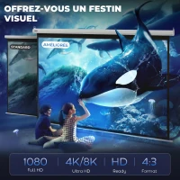 HOMCOM Beamer Leinwand 244 x 183 cm 120 Zoll 4:3/ 16:9 Projektionsleinwand Manuell für Heimkino(m-4)