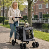 PawHut Opvouwbare Hondenbuggy voor Kleine en Middelgrote Oudere Honden tot 20 kg Grijs(m-8)