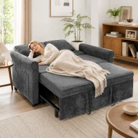 HOMCOM Sofá Cama 2 Plazas 3 en 1 con Respaldo Ajustable 5 Niveles Bolsillos Laterales 2 Almohadas para Sala de Estar Gris(m-5)